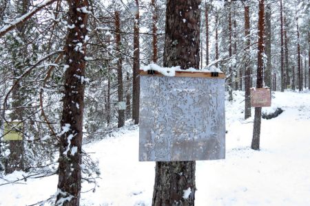 Å-samtale-med-trær-ondalen11.jpg