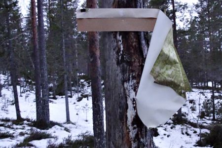Å-samtale-med-trær-ondalen5.jpg