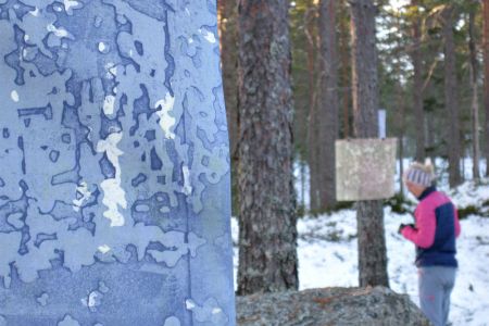 Å-samtale-med-trær-ondalen12.jpg