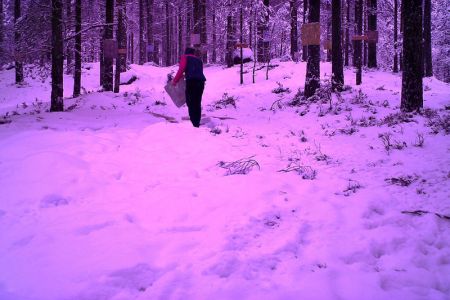 Å-samtale-med-trær-ondalen8.jpg
