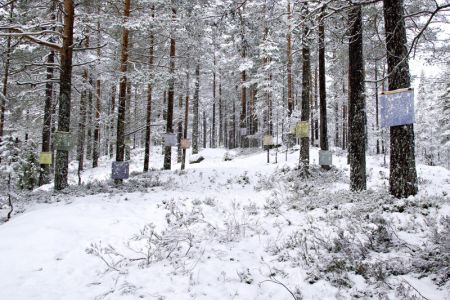 Å-samtale-med-trær-ondalen13.jpg